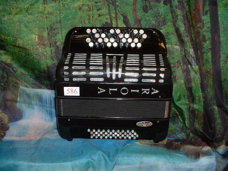 Promoção de Acordeões de concertinas