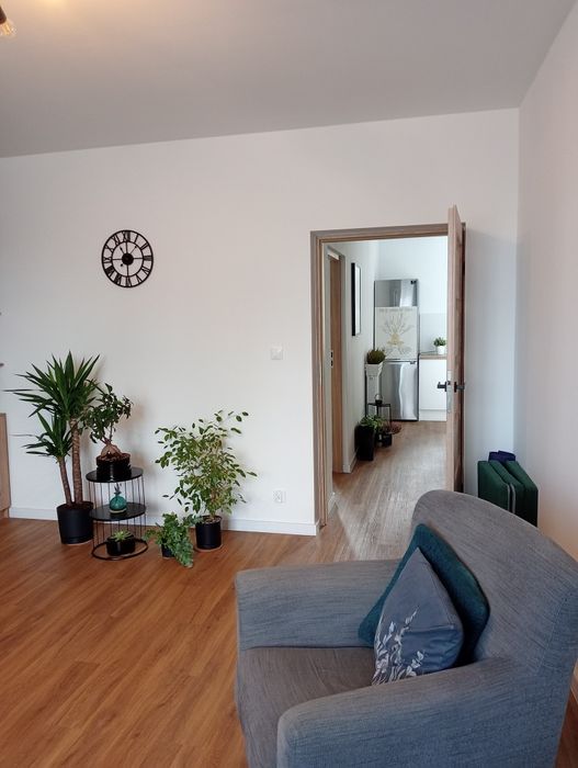 Wynajmę gabinet: Czeladź / Sosnowiec / Katowice