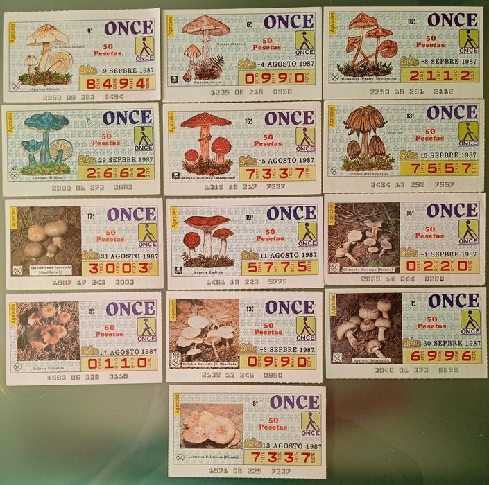 Cautelas com cogumelos
Cada lote, 15€ com envio em cor