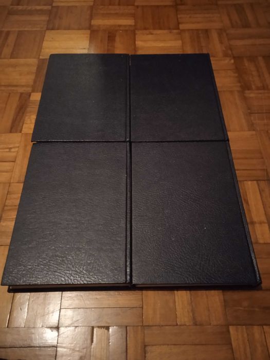 Webster's Dictionary Illustrated