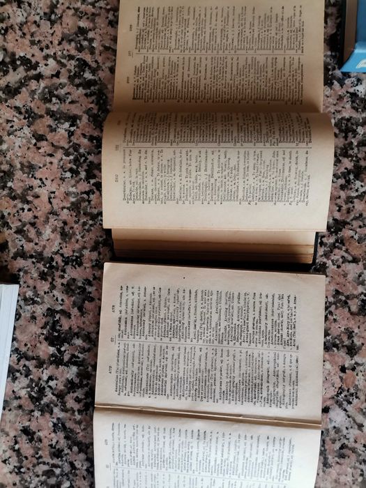 Coleção de 8 Dicionários (Espanhol, Italiano, Russo, Ucraniano, Inglês) - Inclui Antigo 1921