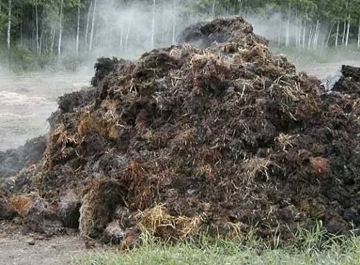 Грибний компост. Гній. Навоз. Земля. Чорнозем. Доставка 5 - 10 тон.