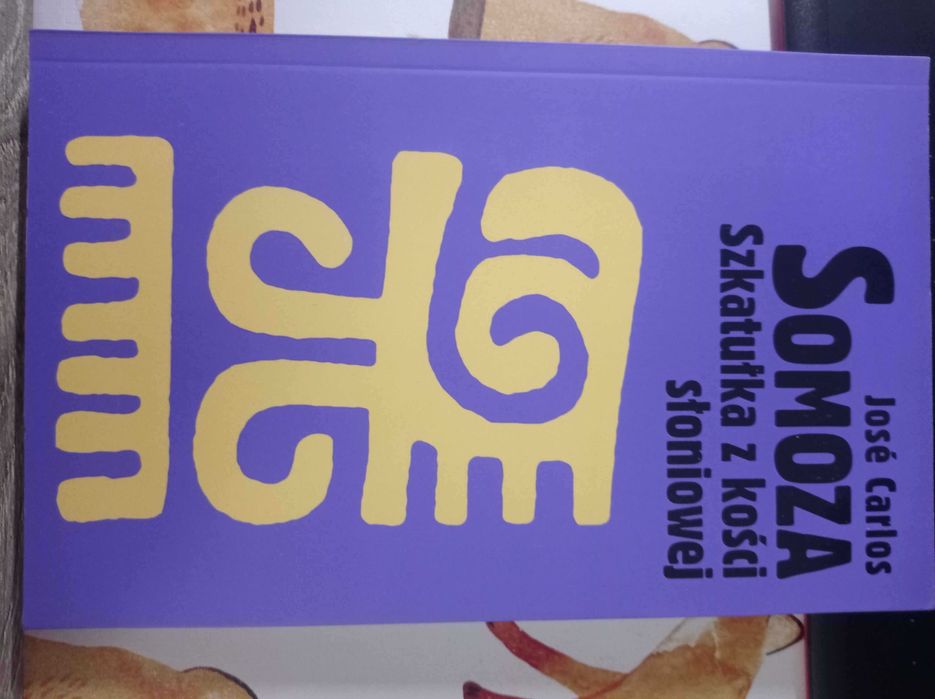 Szkatułka z kości słoniowej Jose Carlos Somoza