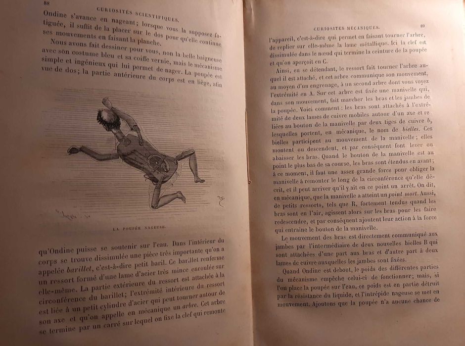 Curiosités Scientifiques