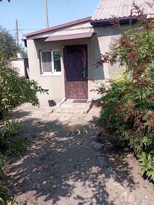 Продаж будинку ви.Перещепине