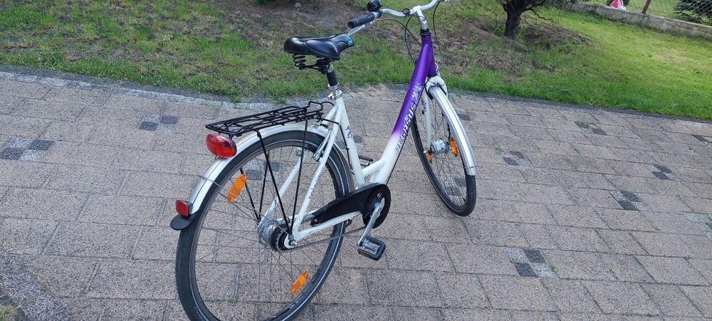 Rower damka marki Pegasus Arktis na kołach 28