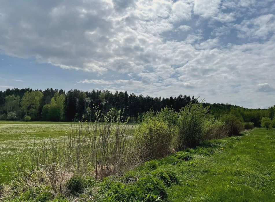 Działka rolna 3000m2 gmina Biała Piska