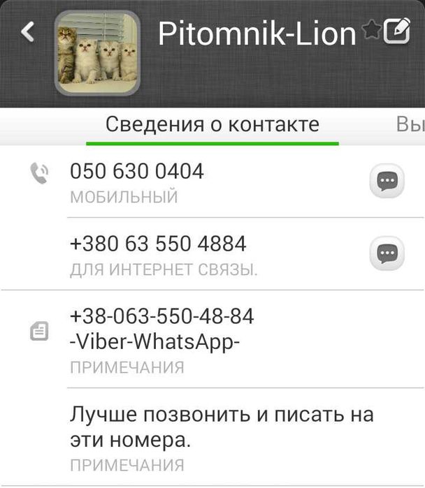 Вязка, Шотландских и Британских кошек.