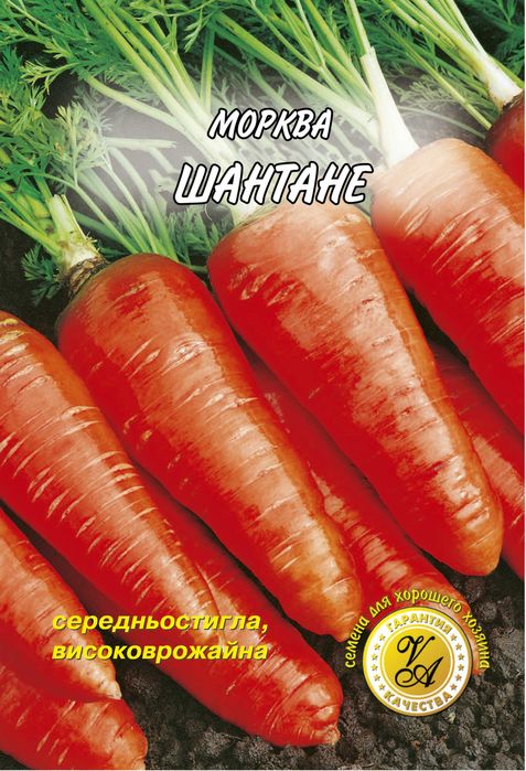Насіння від виробника оптом