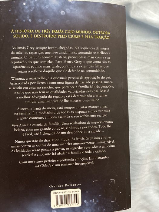 Livro Um Estranho na cidade