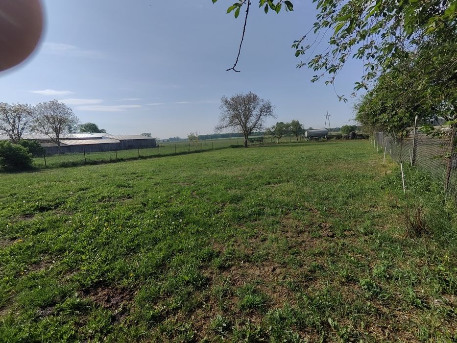 Siedlisko z dużą działką – dom 80 m² + budynki gospodarcze | 31 arów