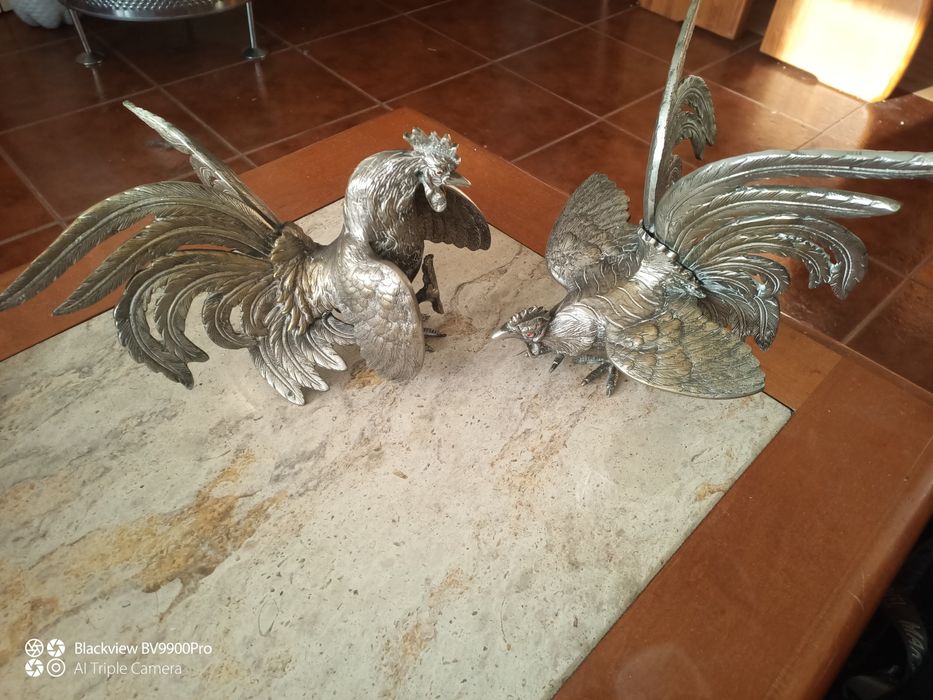 Luta dos galos galináceos em luta