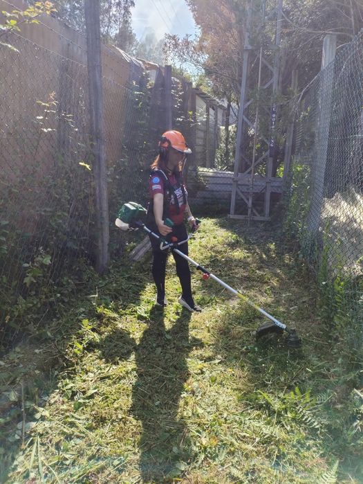 Serviços de Jardinagem e Limpeza de Terrenos