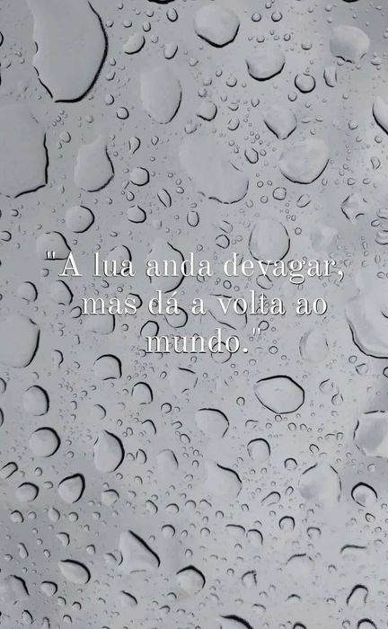 Livro Precisei perder-me para me encontrar