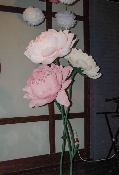 Ростові квіти для декору