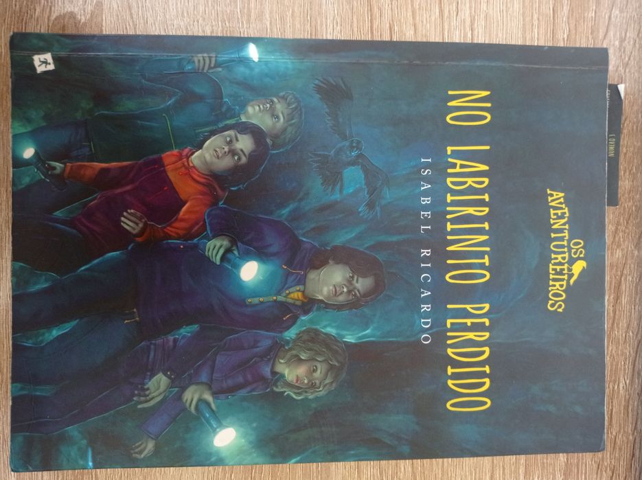 Os aventureiros... No labirinto perdido