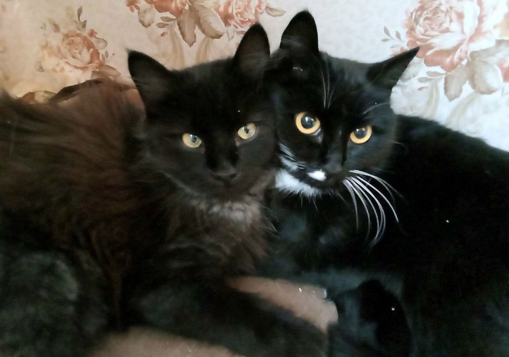 Mama z czarnym długowłosym synkiem-bardzo boją się wybuchów w Charkowi