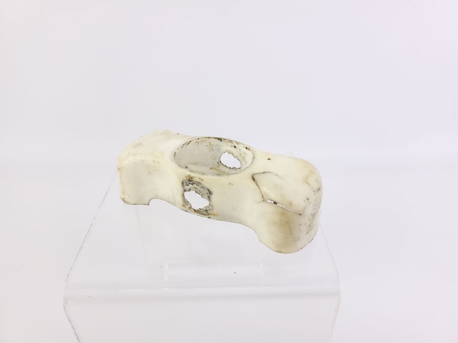 Nakładka na widełki widelec Romet Wigry Jubilat Wagant