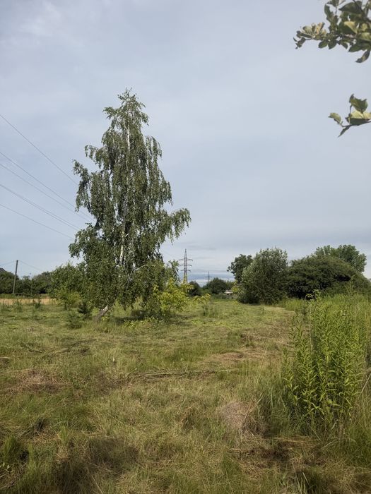 Продаж земельної ділянки під забудову с.В Кошарища