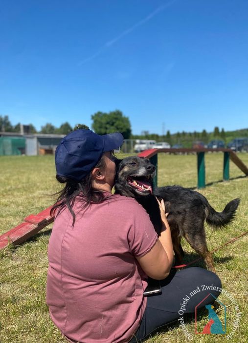 Kila 79/24 - SZUKA DOMU!