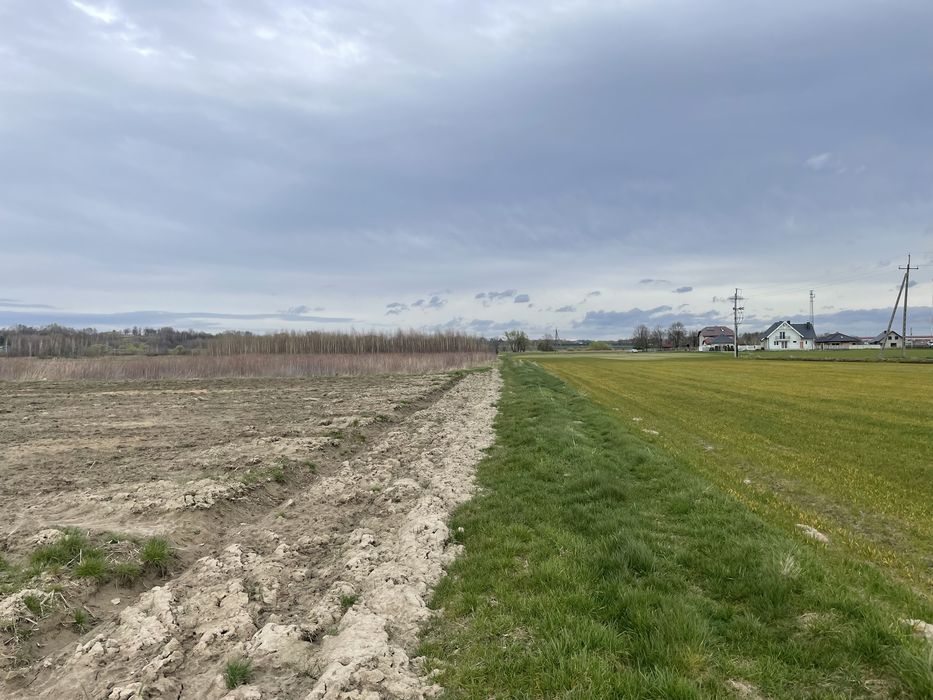 Straszęcin, k. Dębica -4 dzialki 12a - WZ. - Widok 5