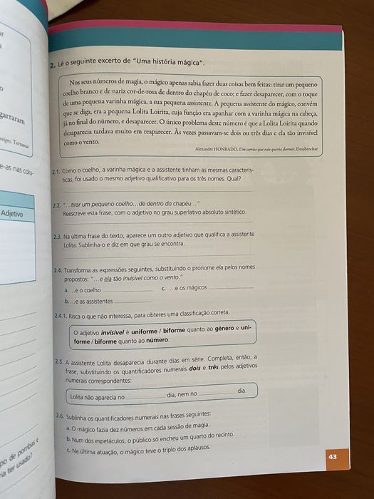 P5 português. Manual de apoio Português 5 ano