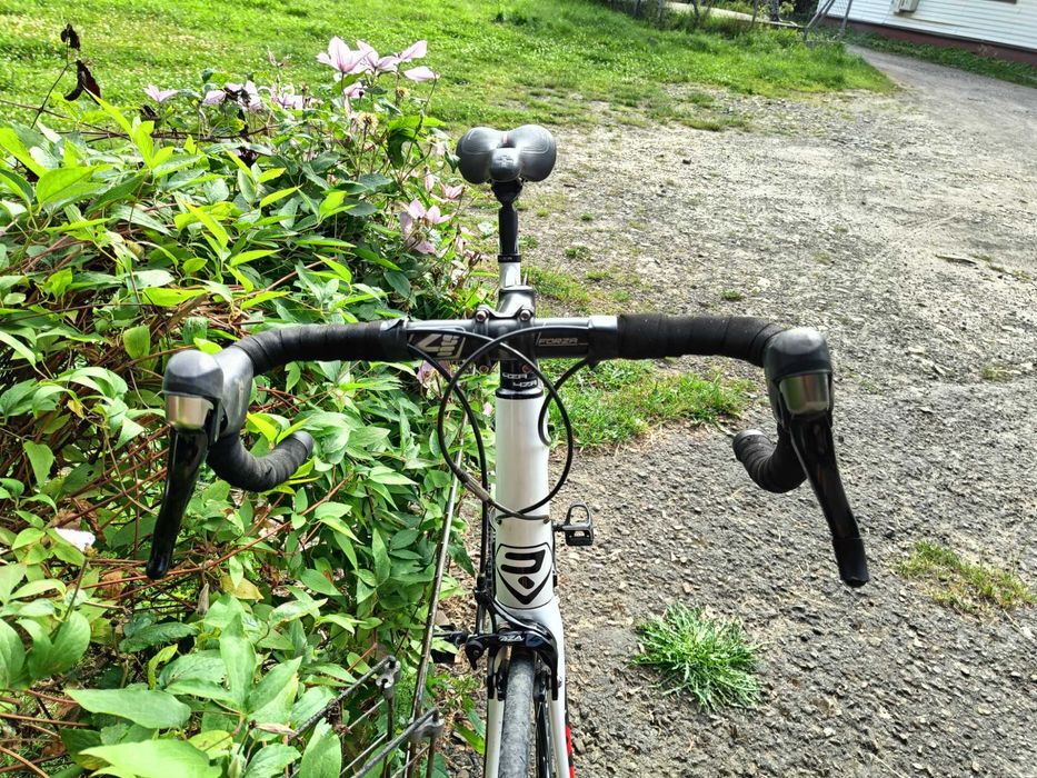 Radley Fenix FORZA Shimano 105 rower szosowy