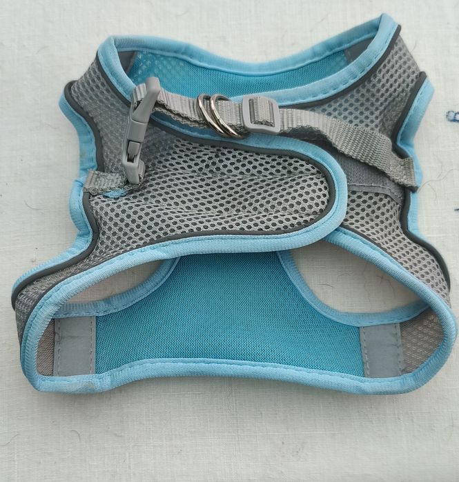 Peitoral para cão de porte pequeno/médio novo