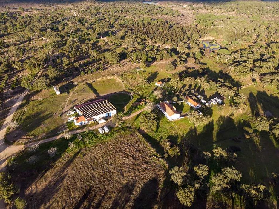 Mini Hotel pelo seu cão na Natureza