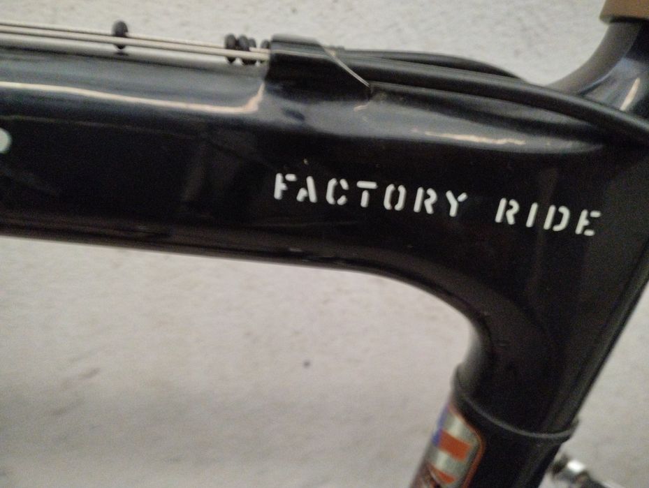 Scott endorphin TM M