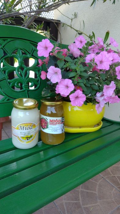 Miód z własnej pasieki