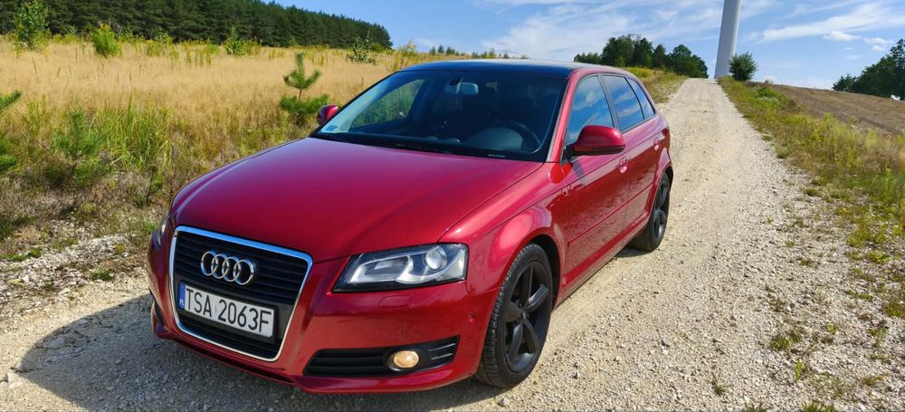 Audi A3 8P Sportback