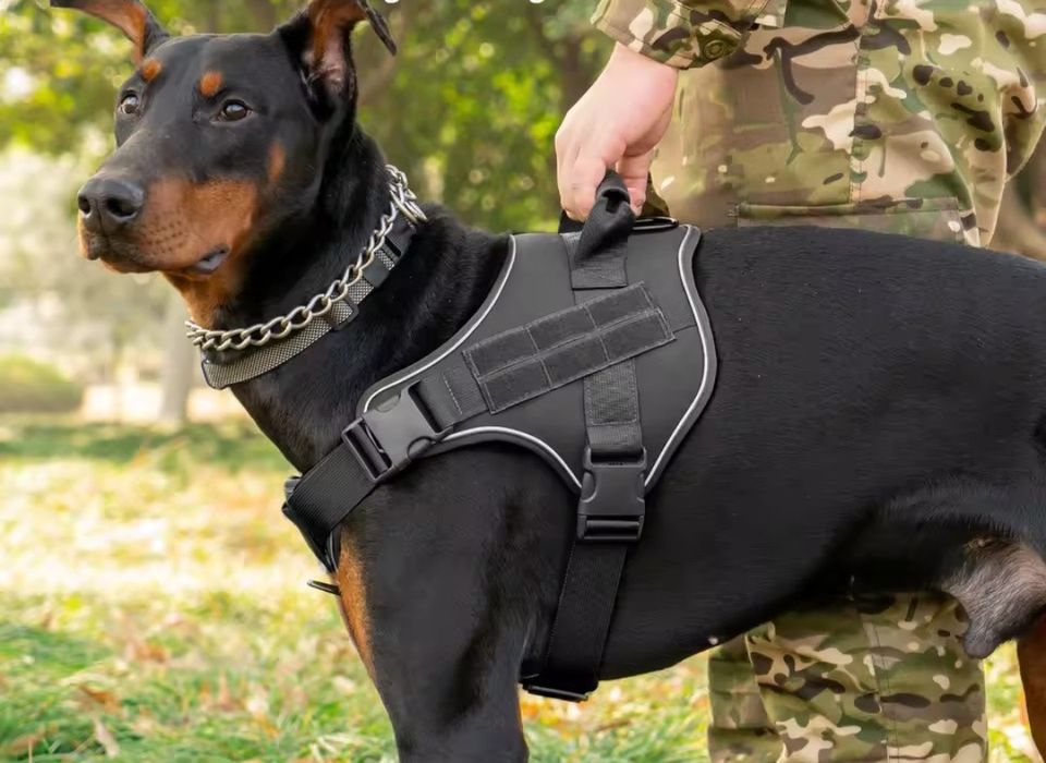 Тактичний жилет для собаки, тактический жилет, розмір XL 28-40 кг