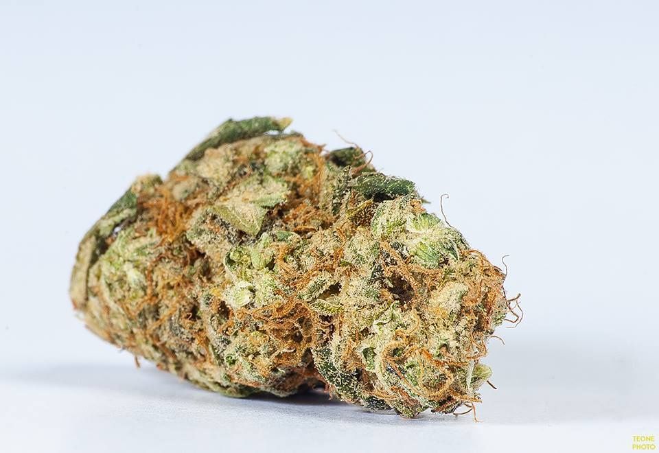 Susz Cbd, Łomża dowóz, konopie indyjskie, marihuana 6-16%