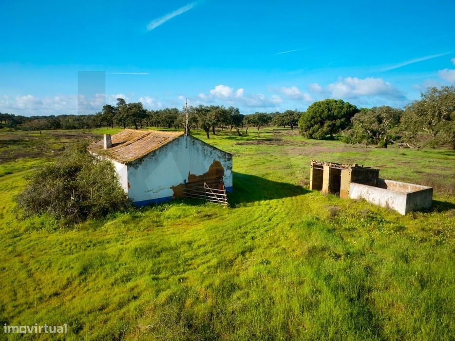 Propriedade Rural em São Domingos - Santiago do Cacém  São Domingos co