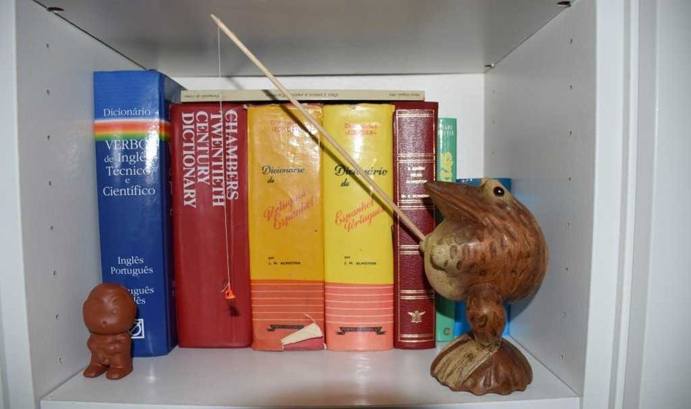 Sapo Pescador em madeira maciça