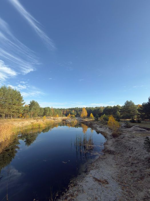 Agro-relax pod dębem