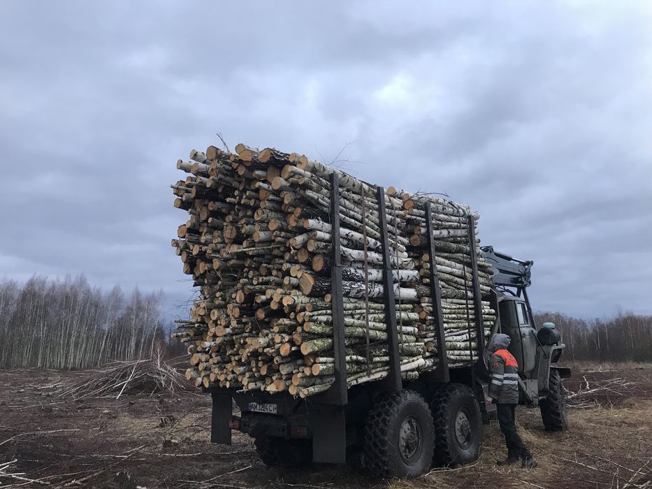 Продаж дров гурт/опт