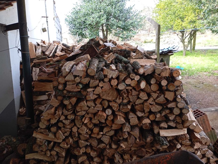 Vendo este monte de lenha toda junta