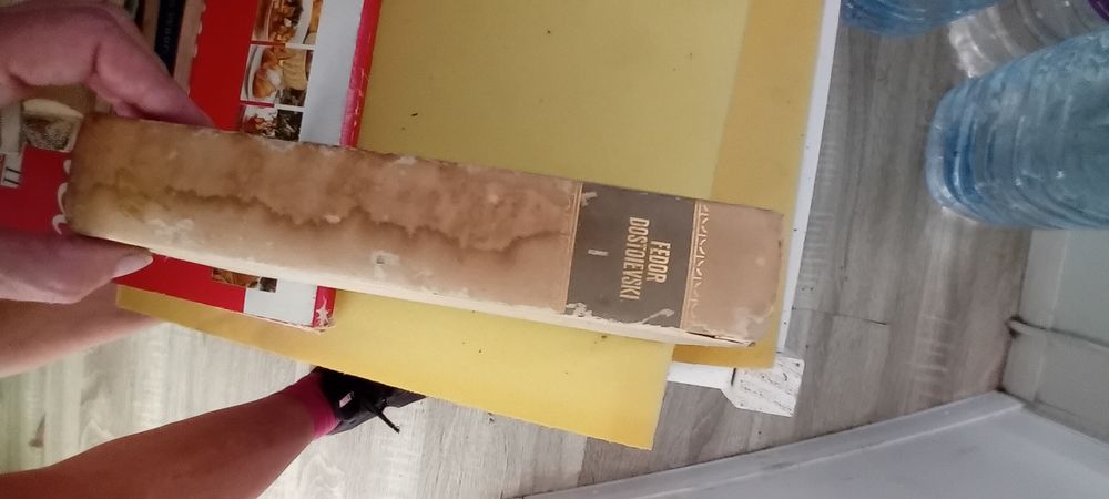Livro crime e castigo fedor Dostoievski