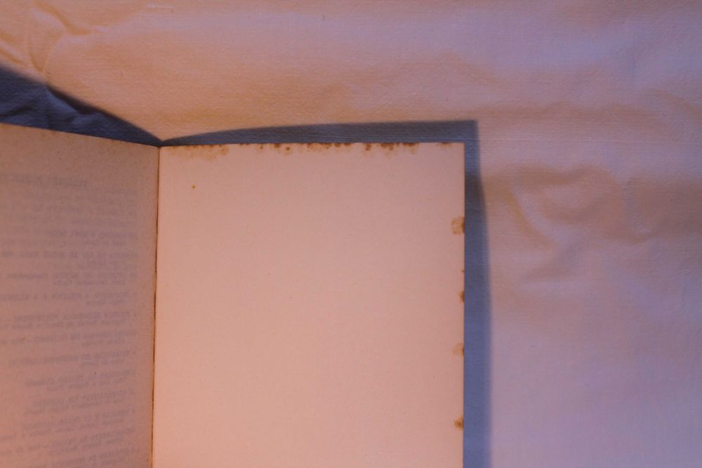 1ª edição de "As opiniões que o DL teve" (1974), de José Saramago
