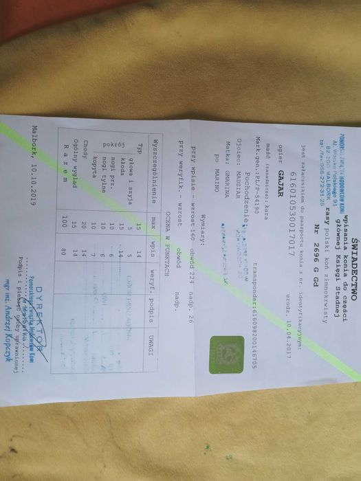 Ogier GAJAR sprzedam/zamienię