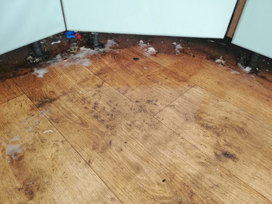 Прибирання квартир та хімчистка