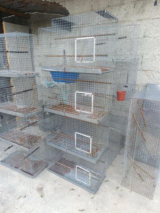 Gaiolas para pássaros