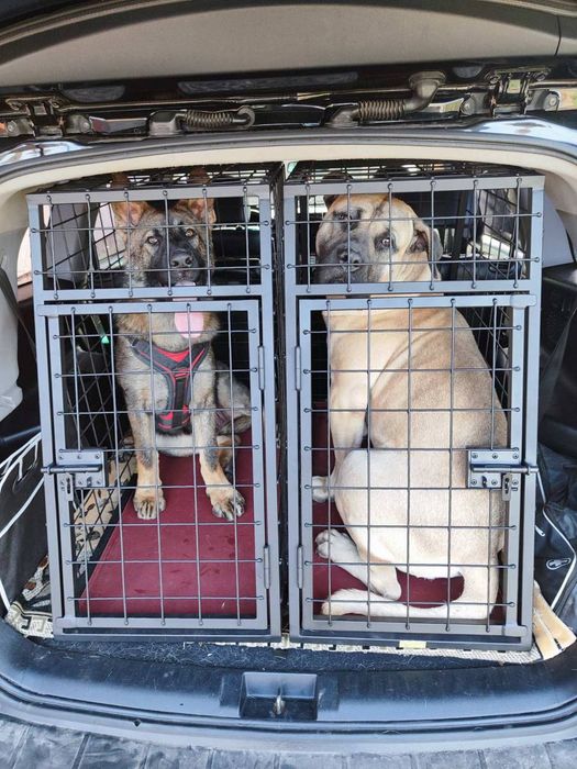 Клітка автобокс для транспортування собак