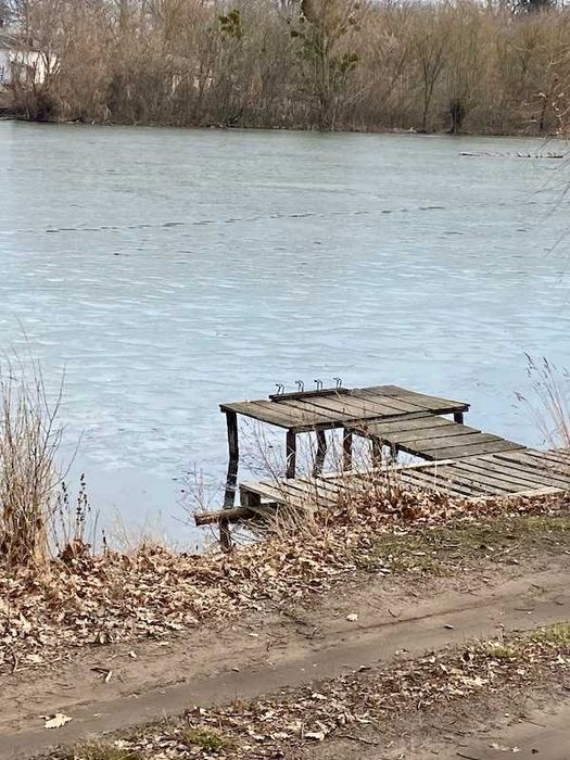 Продам земельну ділянку Шаровка Богодухівський район (169139)