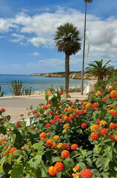 T1 férias 1ª linha Armaçâo de Pêra