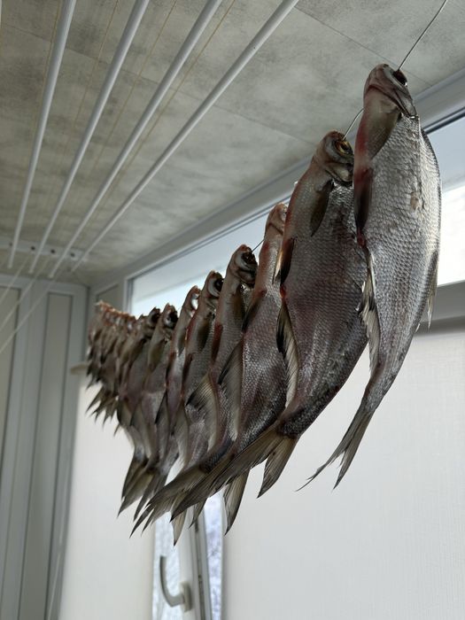 Синець Вʼялена риба Таранка