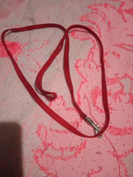 Уздечка с поводком