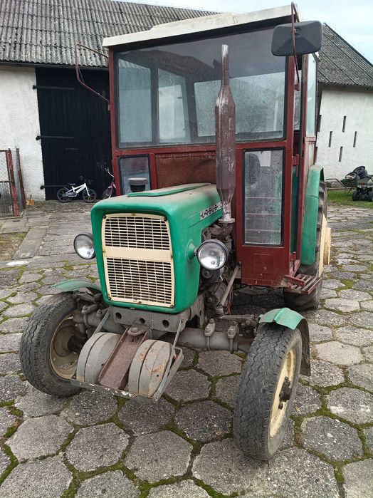 Ursus   ursus c 330